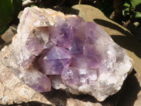 Natural Jacaranda Amethyst Cluster  x 1 From Mumbwa, Zambia - TopRock