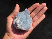 Natural Blue Celestite Crystal Specimens  x 4 From Sakoany, Madagascar - Toprock Gemstones and Minerals 