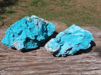 Natural Bright Blue Botryoidal Chrysocolla Specimens x 2 From Lupoto, Congo - TopRock