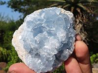 Natural Blue Celestite Crystal Specimens  x 4 From Sakoany, Madagascar - Toprock Gemstones and Minerals 