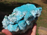 Natural Bright Blue Botryoidal Chrysocolla Specimens x 2 From Lupoto, Congo - TopRock