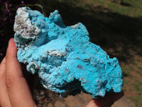 Natural Bright Blue Botryoidal Chrysocolla Specimens x 2 From Lupoto, Congo - TopRock