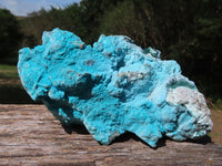 Natural Bright Blue Botryoidal Chrysocolla Specimens x 2 From Lupoto, Congo - TopRock