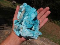 Natural Bright Blue Botryoidal Chrysocolla Specimens x 2 From Lupoto, Congo - TopRock