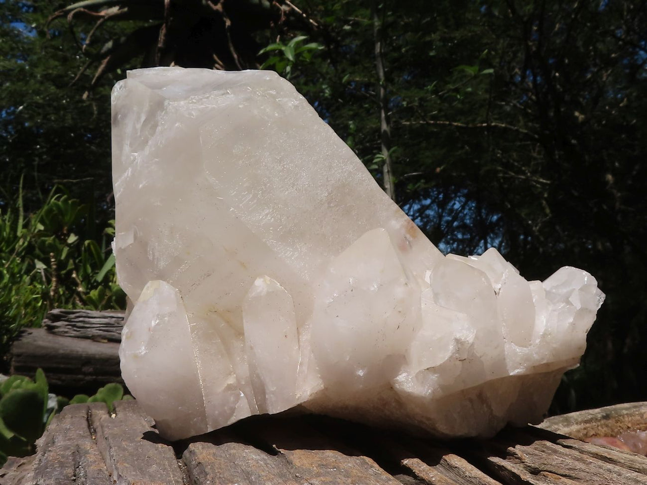 White Chalcedony Self-Standing Mushroom Carving buy from Madagascar