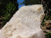 Natural Large Single Quartz Crystal Specimen  x 1 From Madagascar - TopRock