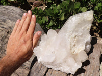 Natural Large Single Quartz Crystal Specimen  x 1 From Madagascar - TopRock