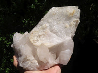 Natural Large Single Quartz Crystal Specimen  x 1 From Madagascar - TopRock