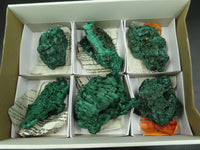 Natural Silky Malachite Specimens x 6 From Kasompe, Congo - TopRock