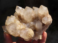 Natural Cascading White Phantom Smokey Quartz Clusters  x 4 From Luena, Congo - Toprock Gemstones and Minerals 