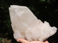 Natural Large Single Quartz Crystal Specimen  x 1 From Madagascar - TopRock