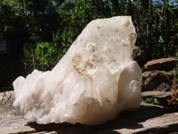 Natural Large Single Quartz Crystal Specimen  x 1 From Madagascar - TopRock