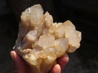 Natural Cascading White Phantom Smokey Quartz Clusters  x 4 From Luena, Congo - Toprock Gemstones and Minerals 