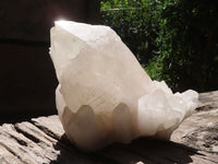 Natural Large Single Quartz Crystal Specimen  x 1 From Madagascar - TopRock