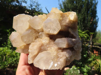 Natural Cascading White Phantom Smokey Quartz Clusters  x 4 From Luena, Congo - Toprock Gemstones and Minerals 