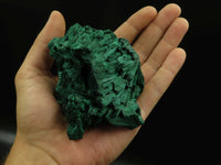 Natural Silky Malachite Specimens x 6 From Kasompe, Congo - TopRock