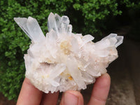 Natural Small Mixed Quartz Clusters  x 12 From Madagascar - Toprock Gemstones and Minerals 