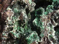 Natural Drusi Quartz Coated Malachite On Red Copper Dolomite  x 1 From Likasi, Congo - Toprock Gemstones and Minerals 