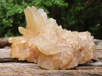 Natural Small Mixed Quartz Clusters  x 12 From Madagascar - Toprock Gemstones and Minerals 