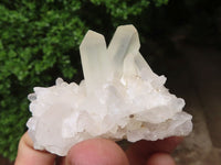 Natural Small Mixed Quartz Clusters  x 12 From Madagascar - Toprock Gemstones and Minerals 