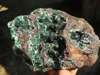 Natural Drusi Quartz Coated Malachite On Red Copper Dolomite  x 1 From Likasi, Congo - Toprock Gemstones and Minerals 