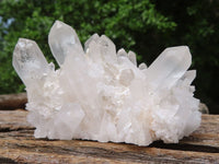 Natural Small Mixed Quartz Clusters  x 12 From Madagascar - Toprock Gemstones and Minerals 