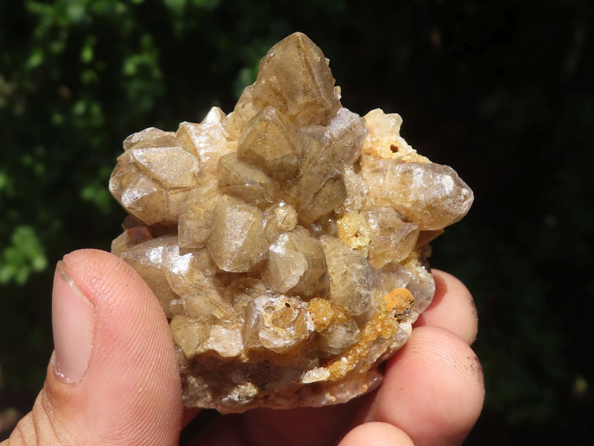 Natural Small Limonite Quartz Clusters x 35 From Zambia | Toprock ...