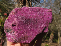 Natural Pink Salrose Cobaltion Dolomite Specimens  x 3 From Kakanda, Congo