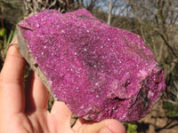 Natural Pink Salrose Cobaltion Dolomite Specimens  x 3 From Kakanda, Congo