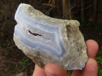 Polished One Side Polished Blue Lace Agate Geodes  x 6 From Malawi - TopRock