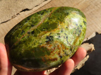 Polished  Green Opal Standing Free Forms  x 2 From Madagascar