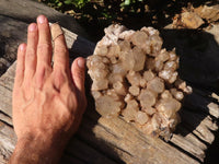 Natural Cascading Smokey Phantom Quartz Cluster x 1 From Luena, Congo