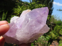 Natural Jacaranda Amethyst Crystal Specimens  x 6 From Mumbwa, Zambia - Toprock Gemstones and Minerals 