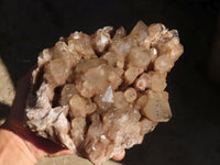 Natural Cascading Smokey Phantom Quartz Cluster x 1 From Luena, Congo