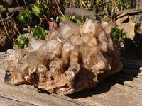 Natural Cascading Smokey Phantom Quartz Cluster x 1 From Luena, Congo