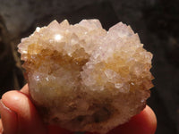 Natural Mixed Spirit Quartz Crystals x 12 From Boekenhouthoek, South Africa