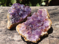 Natural Dark Amethyst Geode Specimens  x 24 From Zululand, South Africa - TopRock