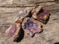 Natural Dark Amethyst Geode Specimens  x 24 From Zululand, South Africa - TopRock