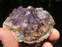 Natural Dark Amethyst Geode Specimens  x 24 From Zululand, South Africa - TopRock