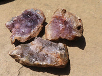 Natural Dark Amethyst Geode Specimens  x 24 From Zululand, South Africa - TopRock