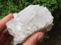 Natural Mixed Clear Quartz Crystal Specimens  x 25 From Zambia - Toprock Gemstones and Minerals 