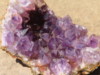 Natural Dark Amethyst Geode Specimens  x 24 From Zululand, South Africa - TopRock