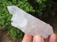 Natural Mixed Clear Quartz Crystal Specimens  x 25 From Zambia - Toprock Gemstones and Minerals 