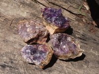 Natural Dark Amethyst Geode Specimens  x 24 From Zululand, South Africa - TopRock