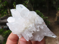 Natural Mixed Clear Quartz Crystal Specimens  x 25 From Zambia - Toprock Gemstones and Minerals 