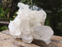 Natural Mixed Clear Quartz Crystal Specimens  x 25 From Zambia - Toprock Gemstones and Minerals 