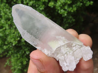 Natural Mixed Clear Quartz Crystal Specimens  x 25 From Zambia - Toprock Gemstones and Minerals 