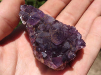 Natural Dark Amethyst Geode Specimens  x 24 From Zululand, South Africa - TopRock