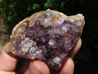 Natural Dark Amethyst Geode Specimens  x 24 From Zululand, South Africa - TopRock