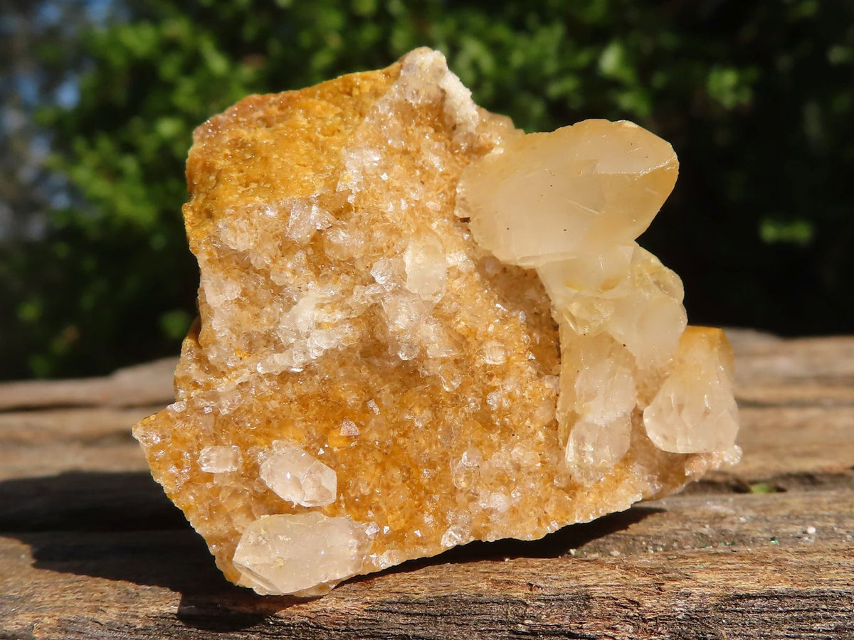 Natural Small Golden Limonite / Lemonite Quartz Clusters x 35 From ...